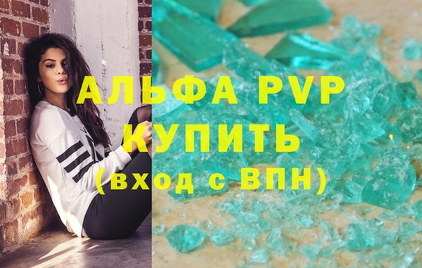 стафф Алексин
