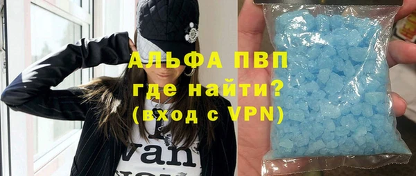 стафф Алексин