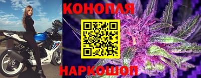 apvp Боровичи