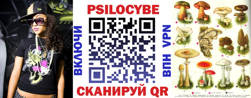Галлюциногенные грибы Cubensis  сайты даркнета клад  Бердск 