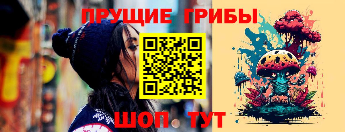 Бердск  Псилоцибиновые грибы Psilocybine cubensis  Вход с VPN 